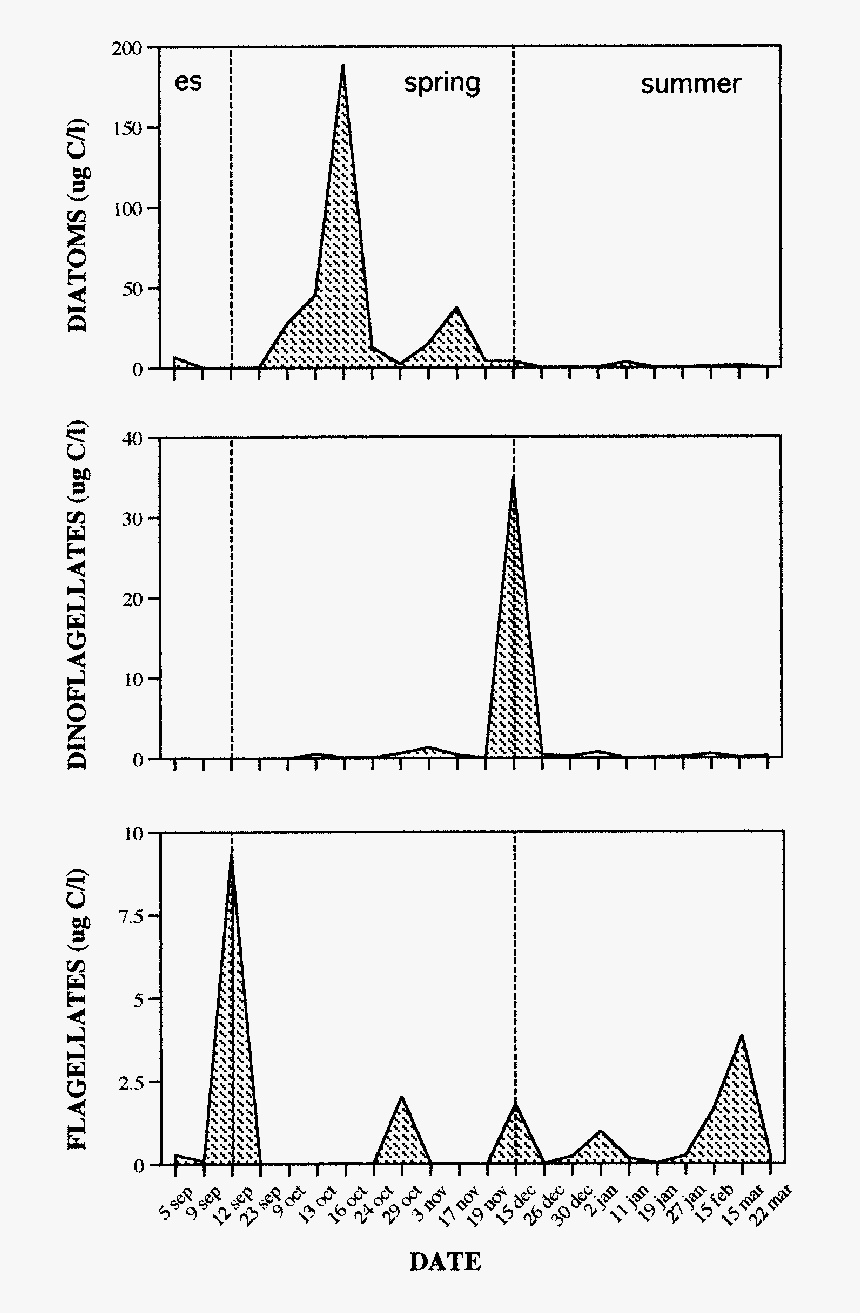 Diagram, HD Png Download