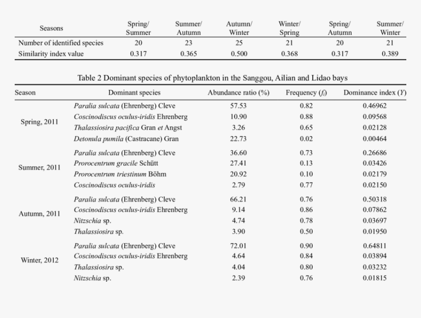 Hoja De Prueba De Hcg, HD Png Download