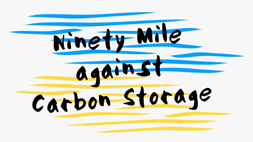 Co2 Sensitivity Of Southern Ocean Phytoplankton - Calligraphy, HD Png Download