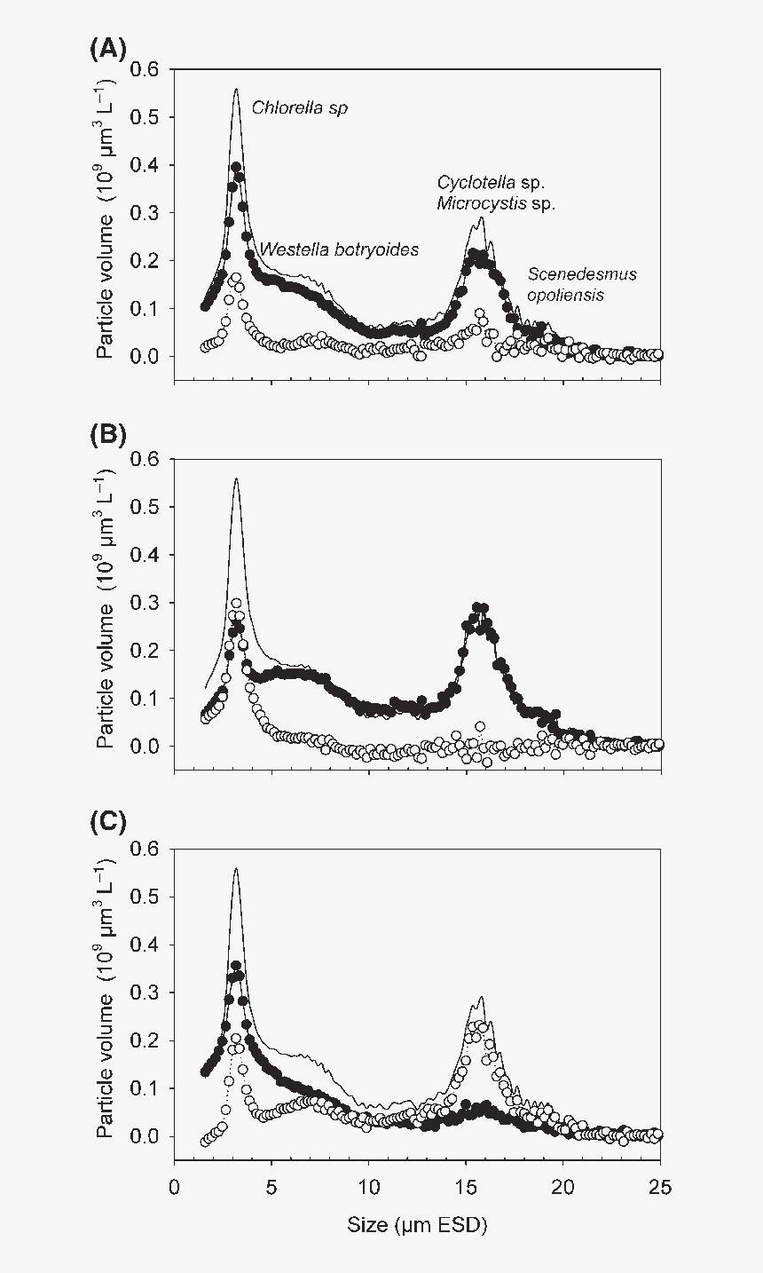 Diagram, HD Png Download