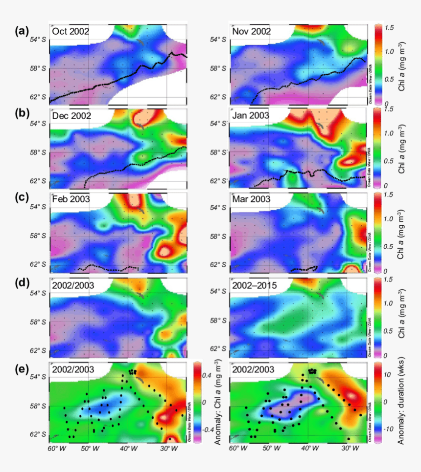 Phytoplankton Blooms Different Seasons, HD Png Download