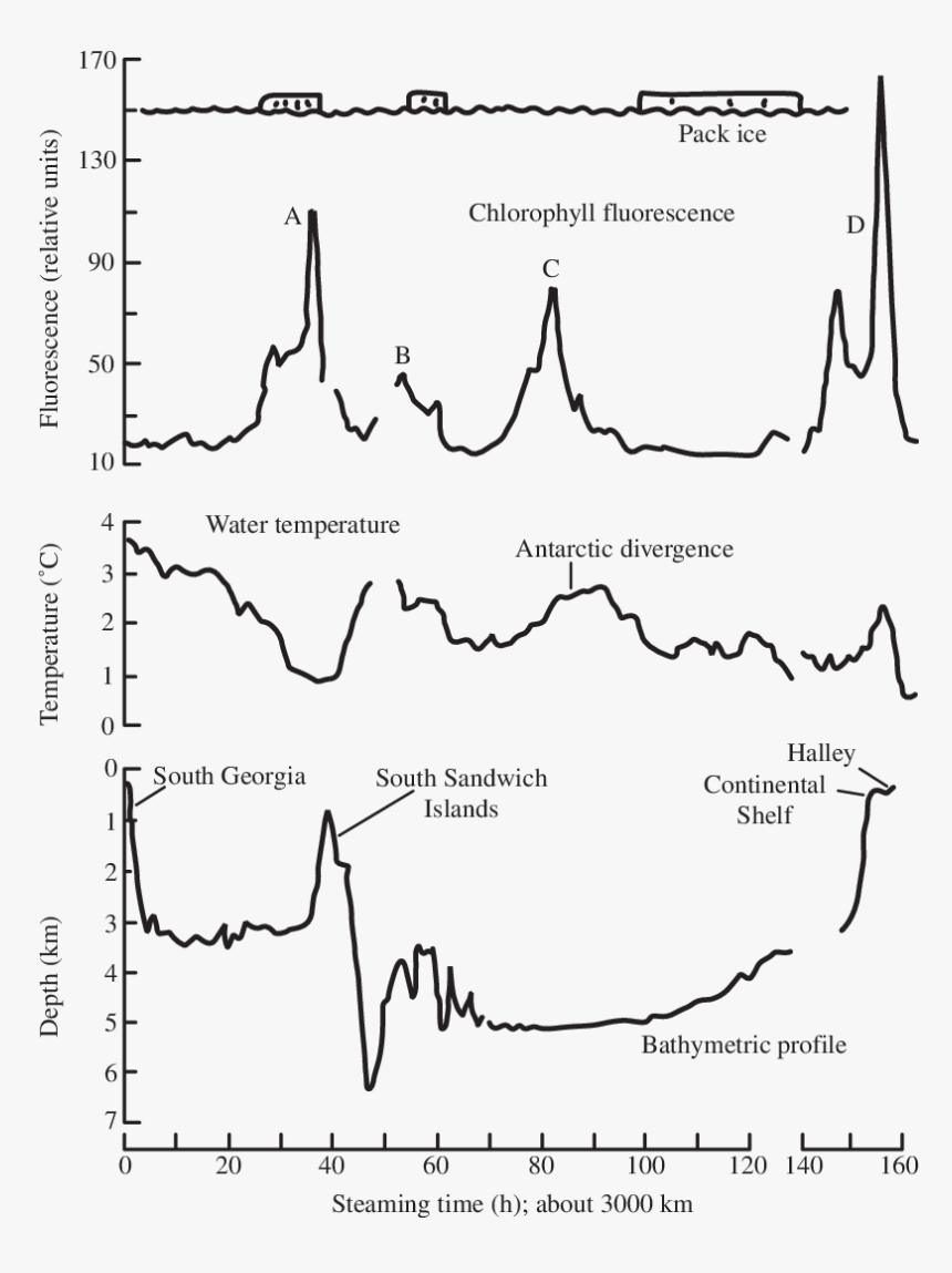 Diagram, HD Png Download