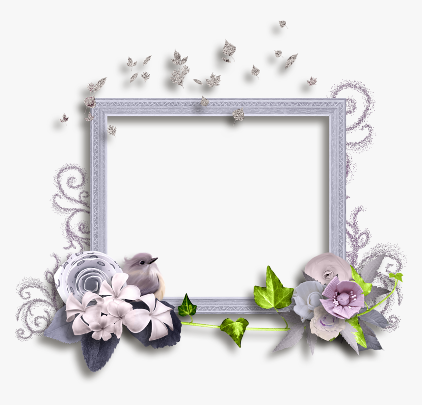 Фотки Halloween Frames, Christmas Frames, Boarders, - Picture Frame, HD Png Download