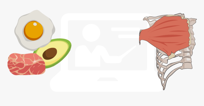 Graphic Design, HD Png Download