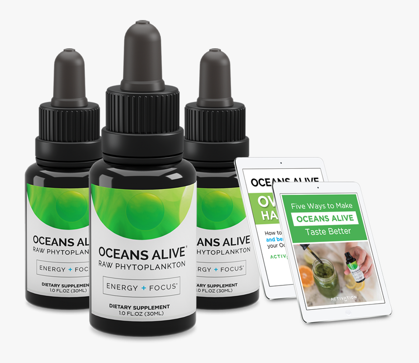 Bottle, HD Png Download