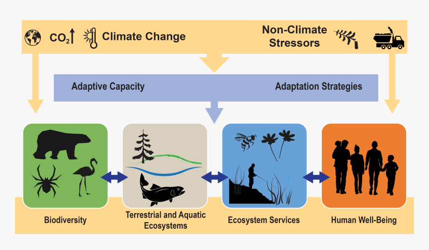 Climate Change, Ecosystems, And Ecosystem Services - Ecosystems Services, HD Png Download