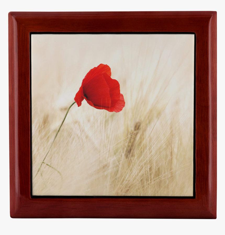 Scarlett Poppy Wood Jewelry Box - Poppy Full Screen, HD Png Download