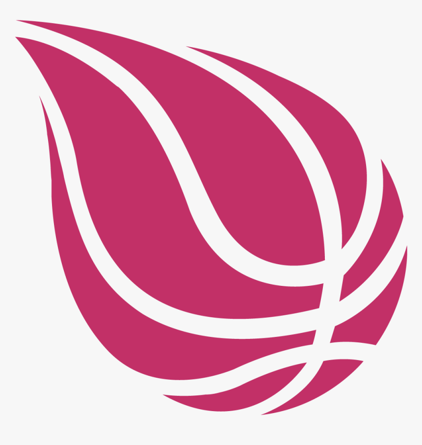 Miami Heat, HD Png Download