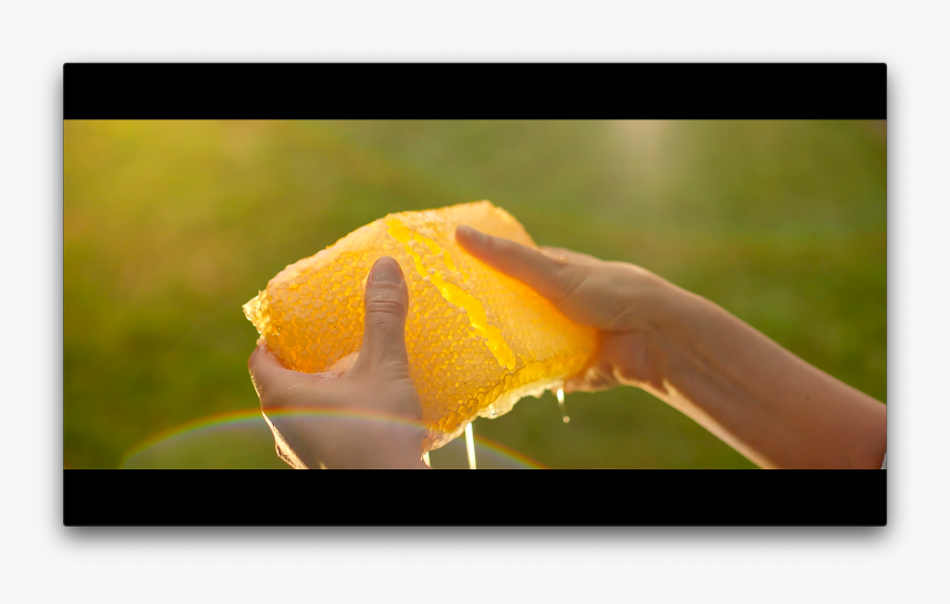 Close-up, HD Png Download