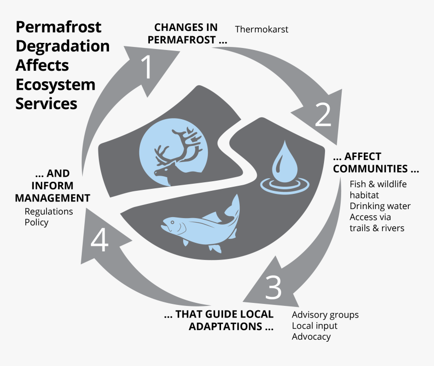 Permafrost Ecosystem Services - Graphic Design, HD Png Download