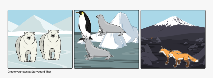 Cardigan Welsh Corgi, HD Png Download