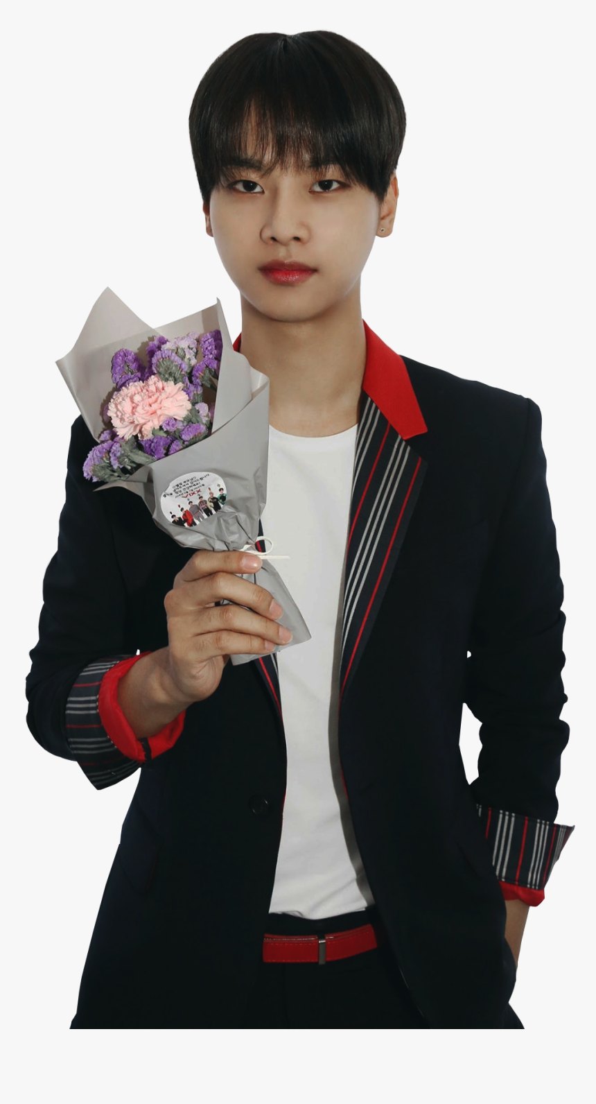 Transparent Vixx Leo Png, Png Download