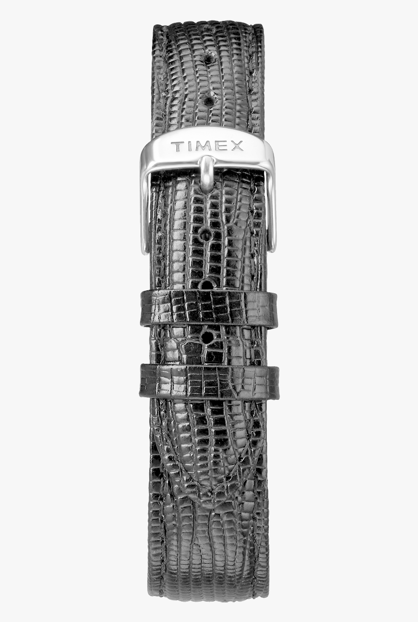 Timex Marlin 2017, HD Png Download