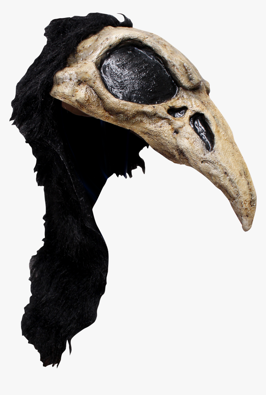 26686, HD Png Download