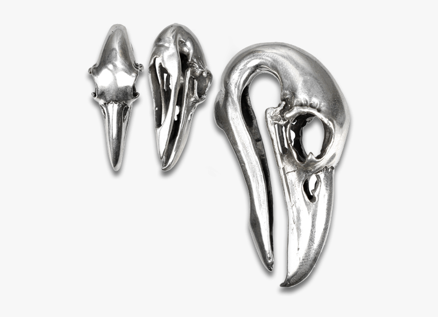 White Brass Bird Skull Weight - Skull, HD Png Download
