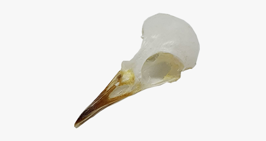 Bronze Sculpture, HD Png Download