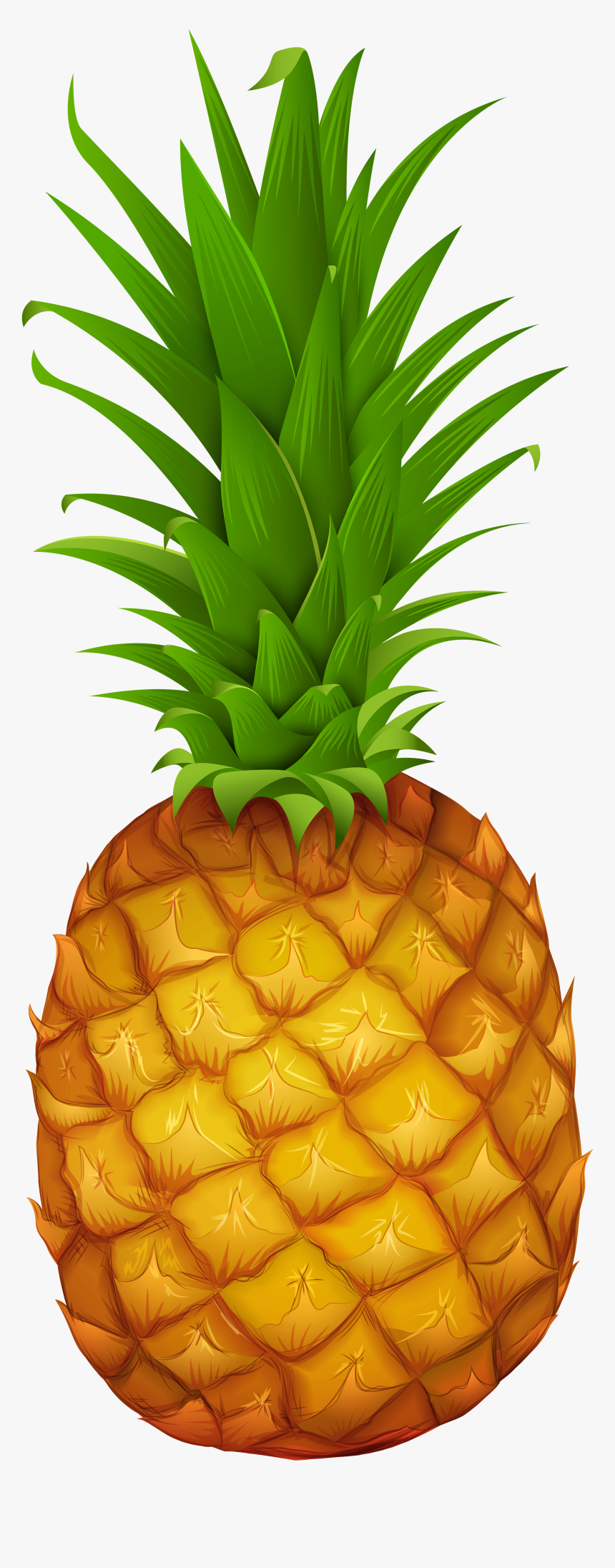 Clip Art Pineapple Gallery Yopriceville High - Clip Art Pineapple Png, Transparent Png