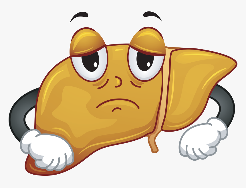 Liver Disease Clipart, HD Png Download