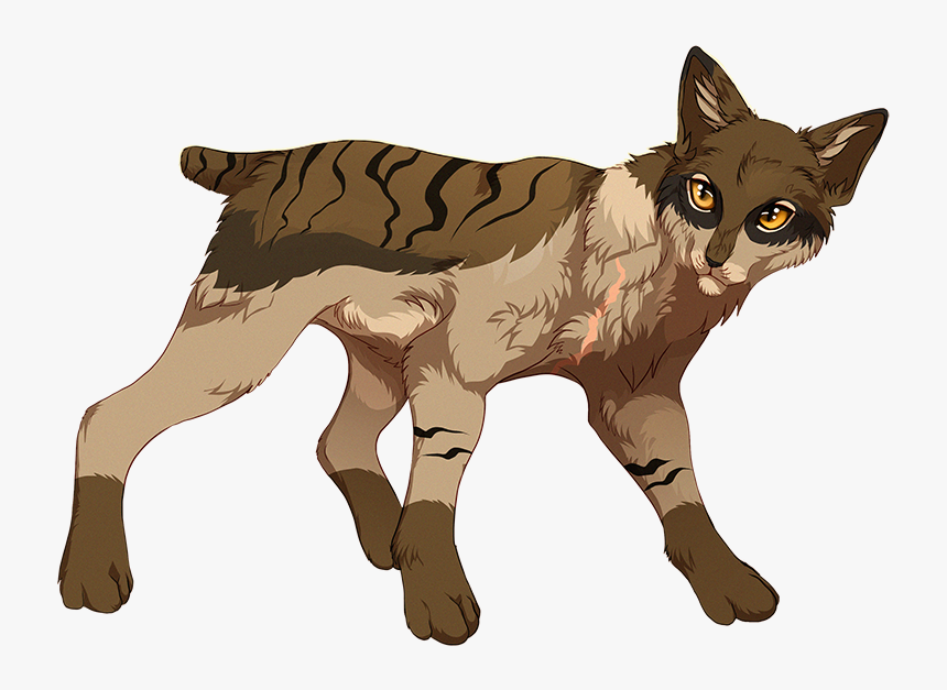Stumpytail Warrior Cats With Short Tails, HD Png Download