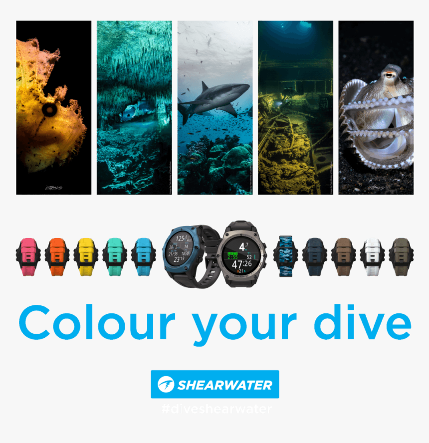 Shearwater Teric Colours, HD Png Download