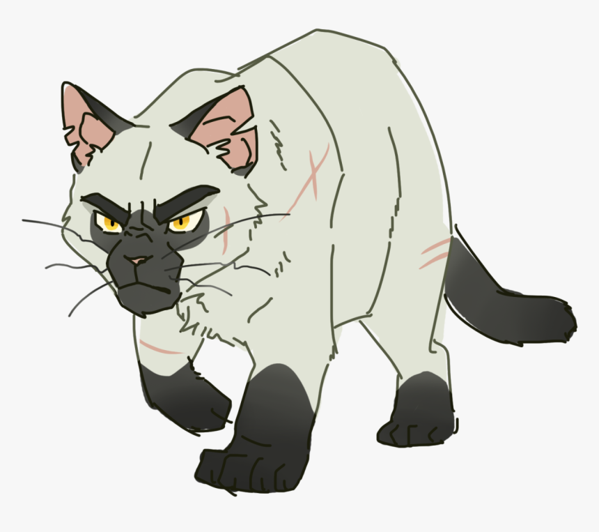 100 Warrior Cats Challenge, HD Png Download