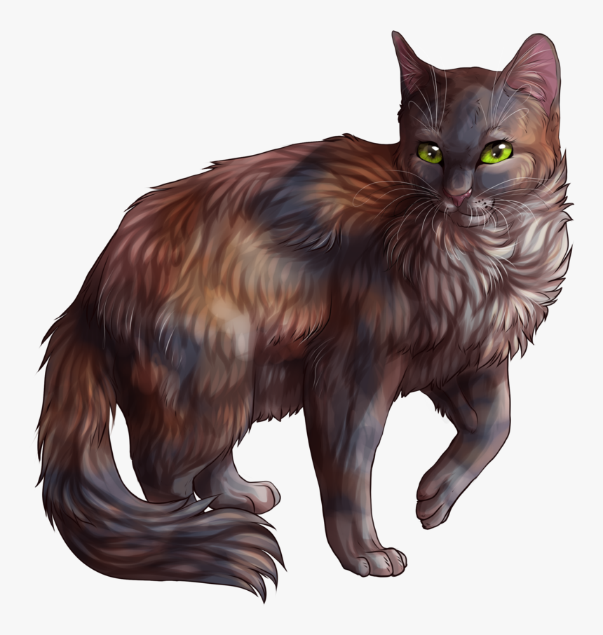 #warriorcats #warrior #cats #warriors #cat #freetoedit - Tawnypelt Warrior Cat, HD Png Download