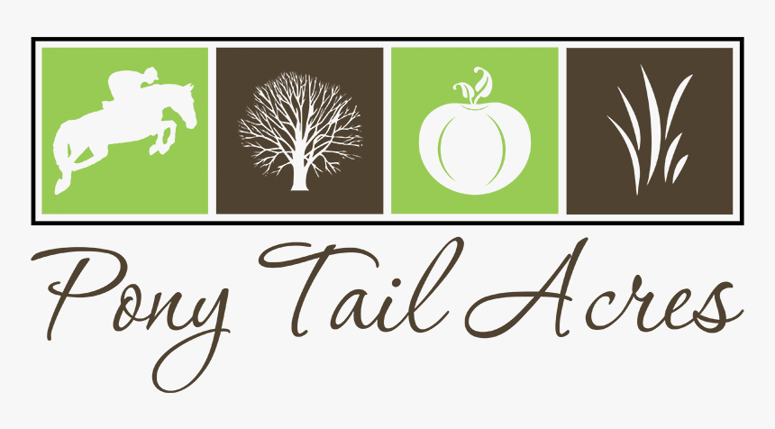 Council For Relationships, HD Png Download