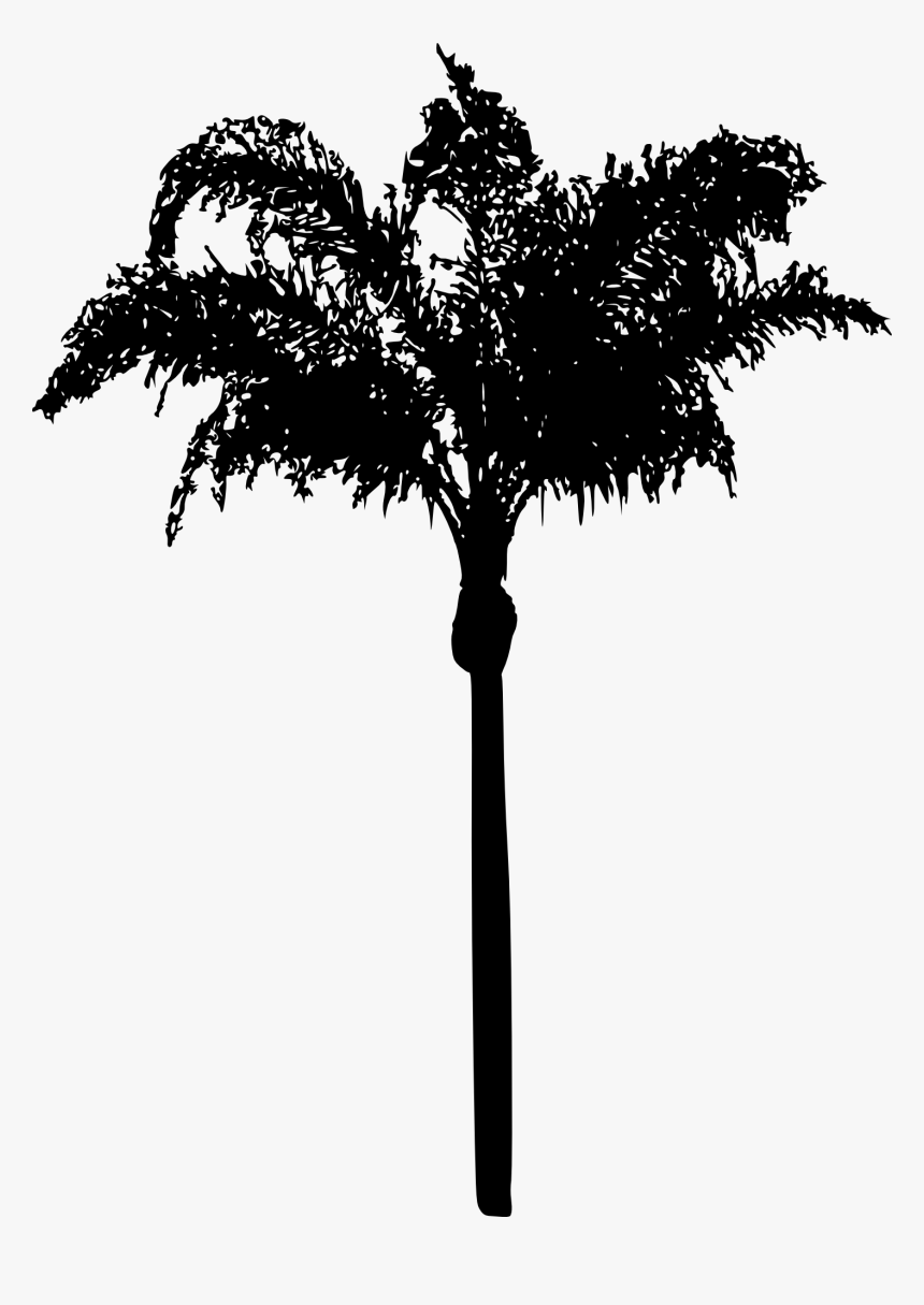 Palm Tree - Silhouette, HD Png Download