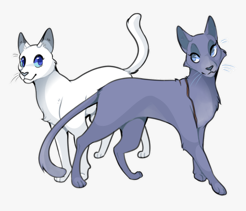 Kitten, HD Png Download