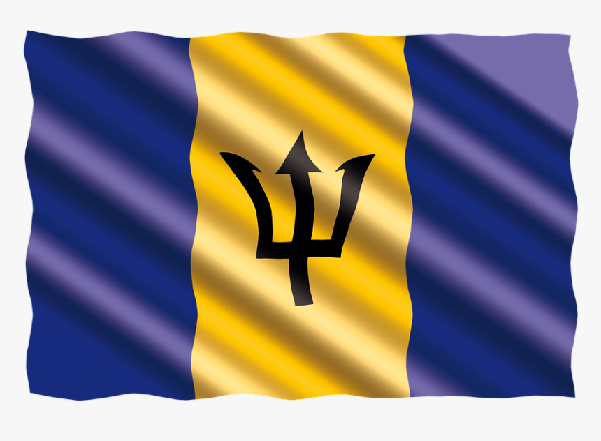 Int flag