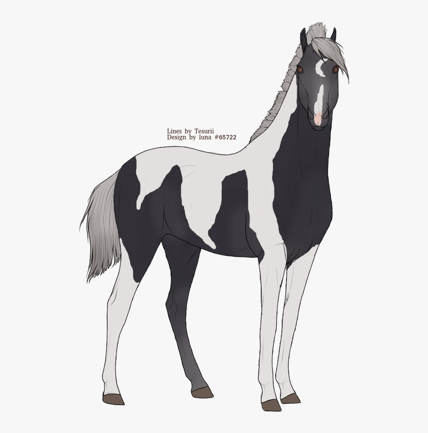 Picture - Mustang Horse, HD Png Download