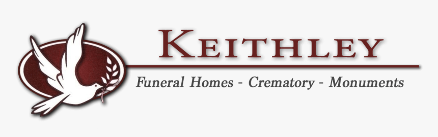 Transparent Tyler Oakley Png - Parallel, Png Download