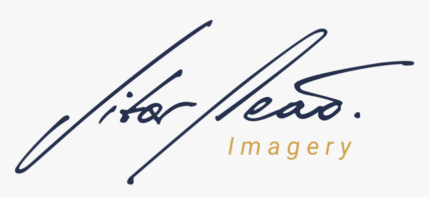 Leao Png, Transparent Png