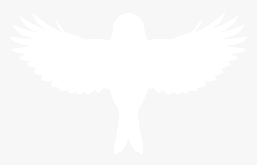 Robin Franzmann - Golden Eagle, HD Png Download