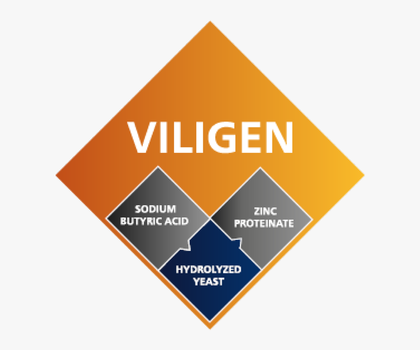 Triangle, HD Png Download