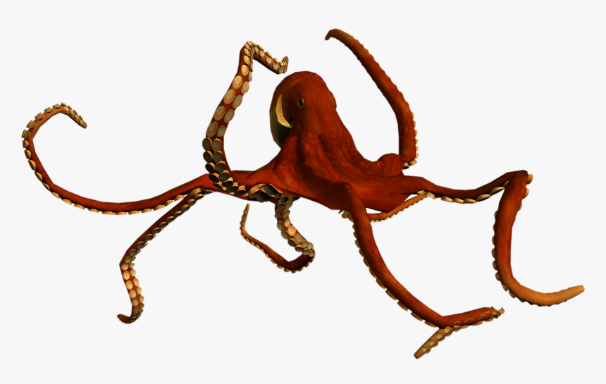 Seaworld Logo Clip Art - Seaworld Png, Transparent Png