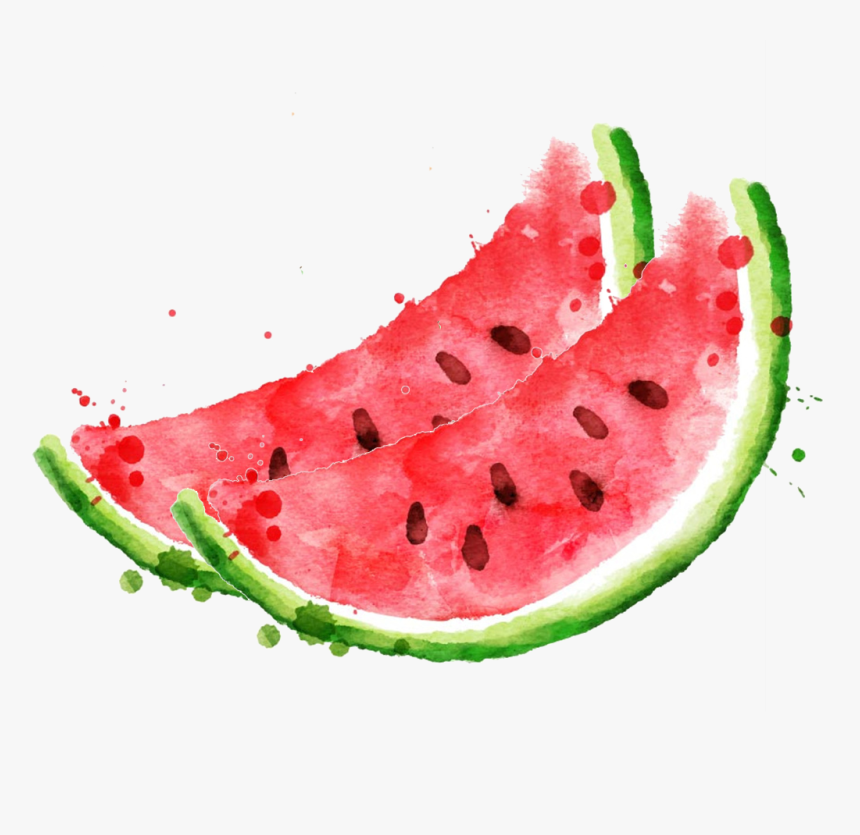 Royalty Free Stock Photography Clip Art Royaltyfree - Watermelon Watercolor Png, Transparent Png