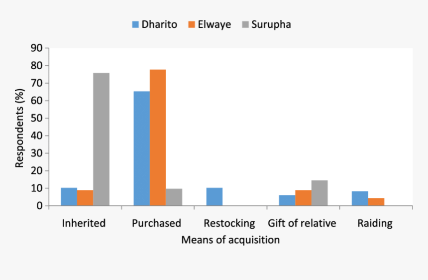 Graphic Design, HD Png Download