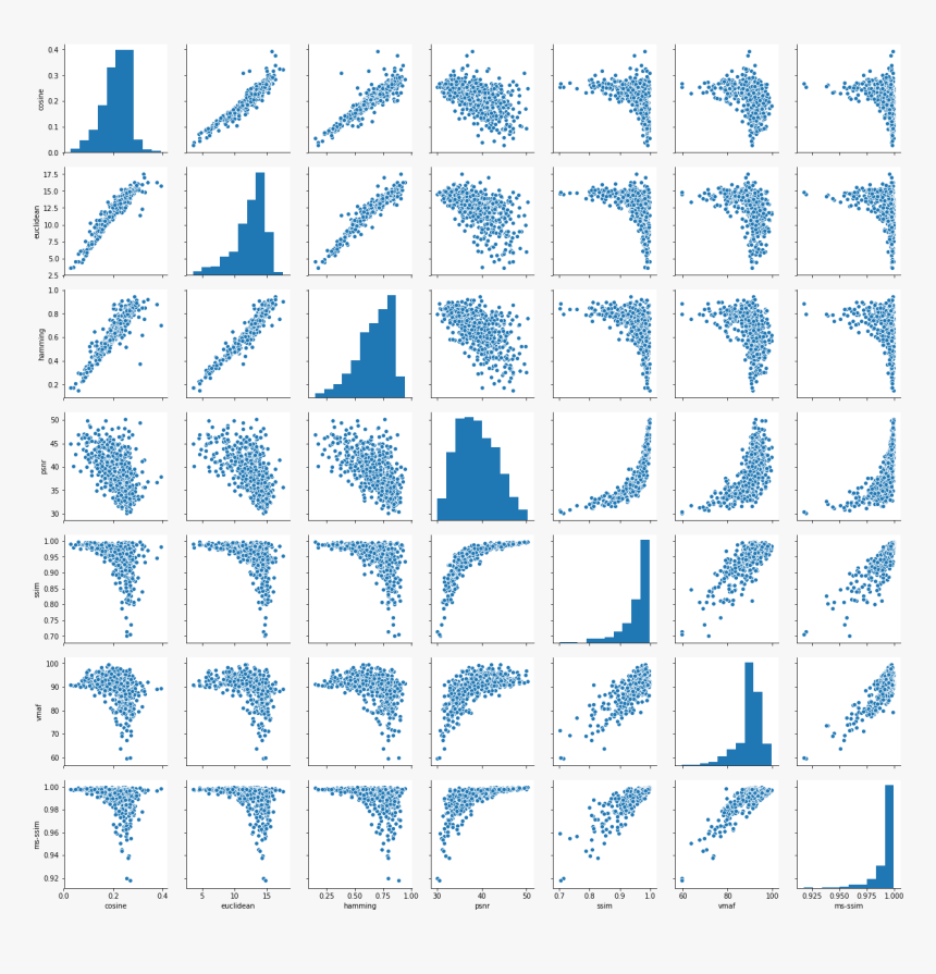 인싸 드립 태양 이 우리 곁에 떨어 졌으니 까, HD Png Download