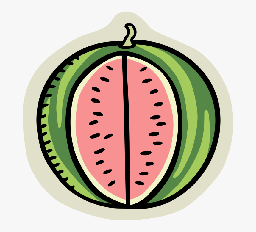 Vector Illustration Of Summer Melon Watermelon Edible - Watermelon, HD Png Download