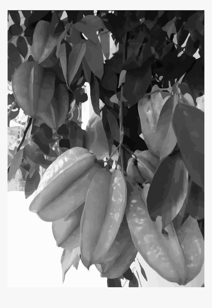 Tree, HD Png Download