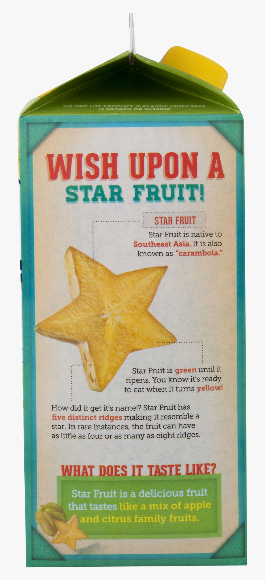 Marine Invertebrates, HD Png Download