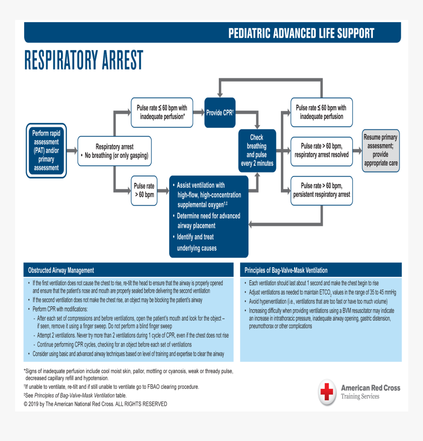 Web Page, HD Png Download