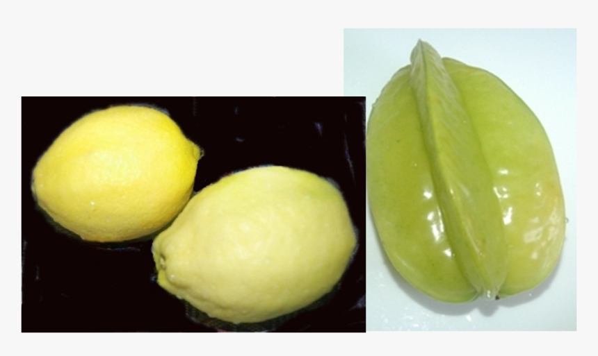 Lemon, HD Png Download