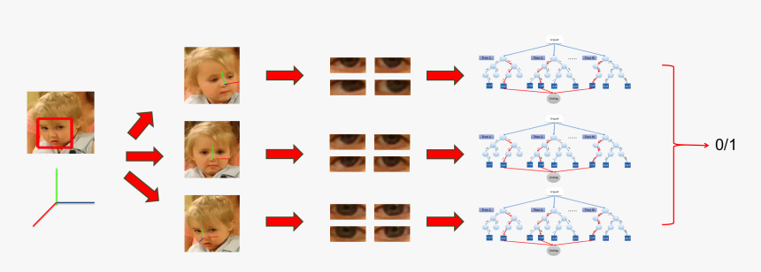 Malabar, HD Png Download