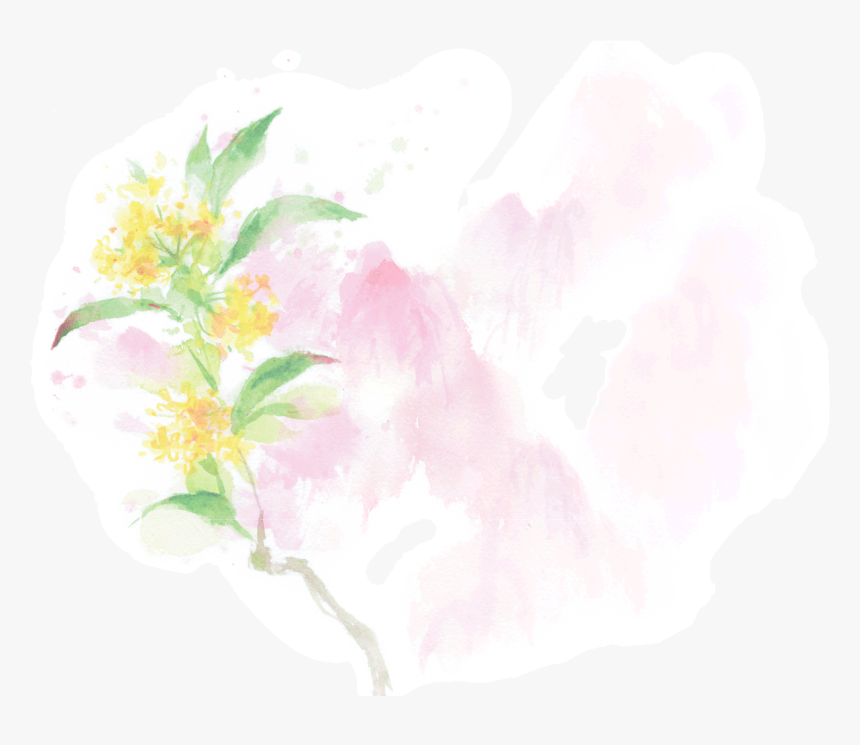Osmanthus Flower - Rosa Rubiginosa, HD Png Download