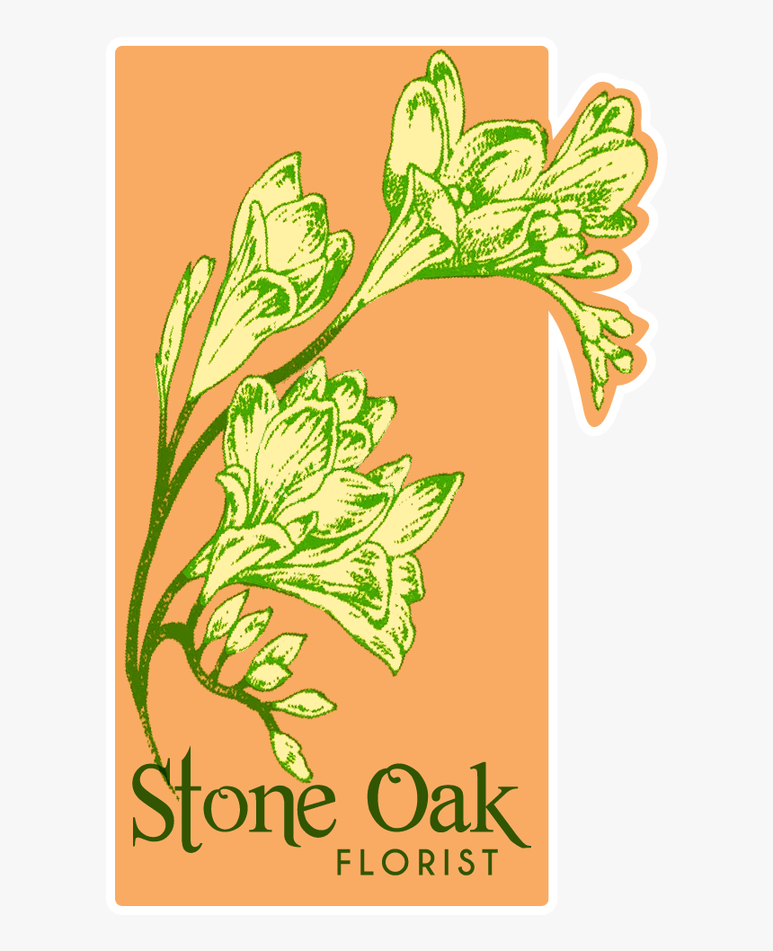 Stone Oak Florist - Illustration, HD Png Download