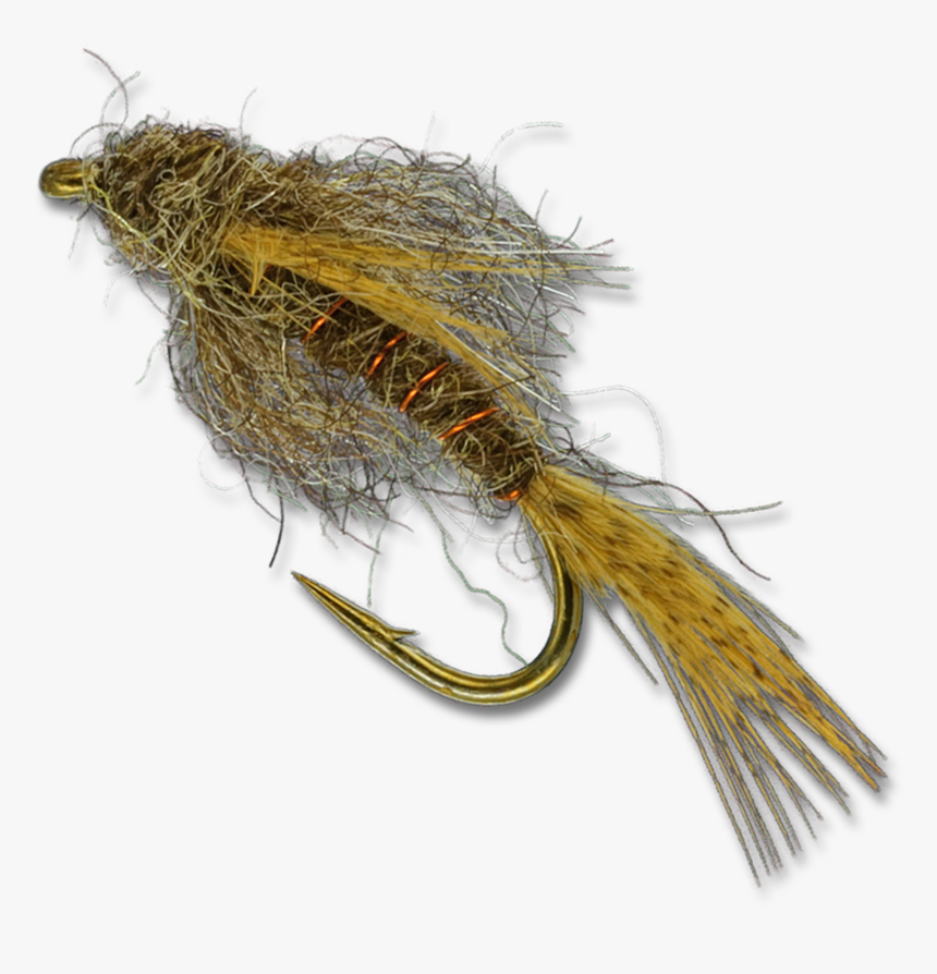 Birds Nest - Insect, HD Png Download