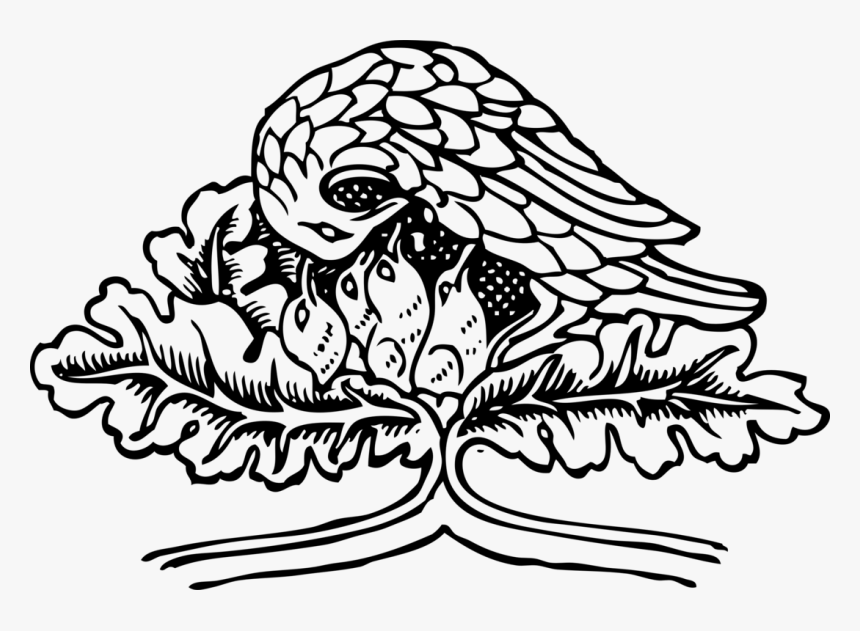 Bird, HD Png Download