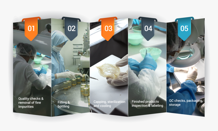 Bird Nest Progress - Flyer, HD Png Download